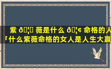 紫 🦟 薇是什么 🦢 命格的人「什么紫薇命格的女人是人生大赢家」